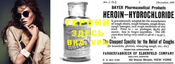 ГАЛЛЮЦИНОГЕННЫЕ ГРИБЫ Аркадак