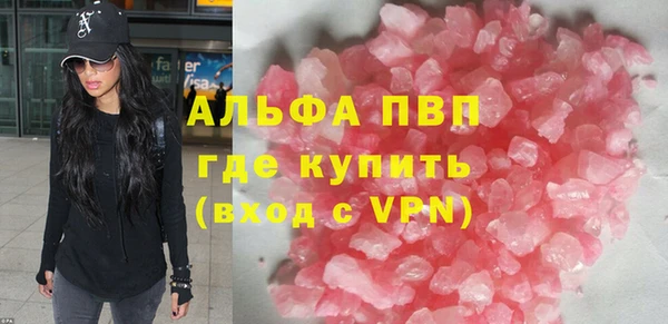 индика Переславль-Залесский